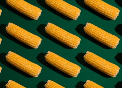 옥수수 보관방법