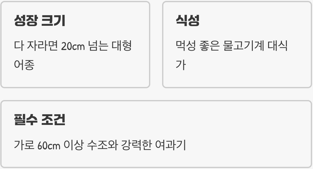 어설픈 수영선수를 위한 넓은 집