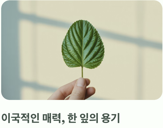 &amp;#39;화한 민트&amp;#39;와 &amp;#39;달큰한 아니스&amp;#39;의 만남