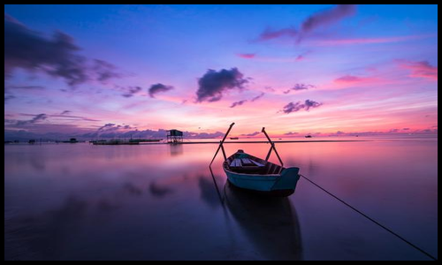 아르기닌 효능 알아보기16