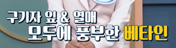 구기자 효능
