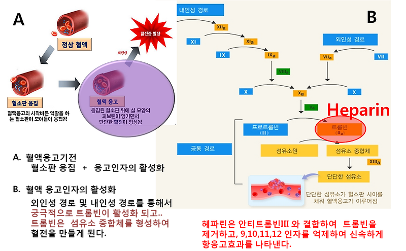 멍크림