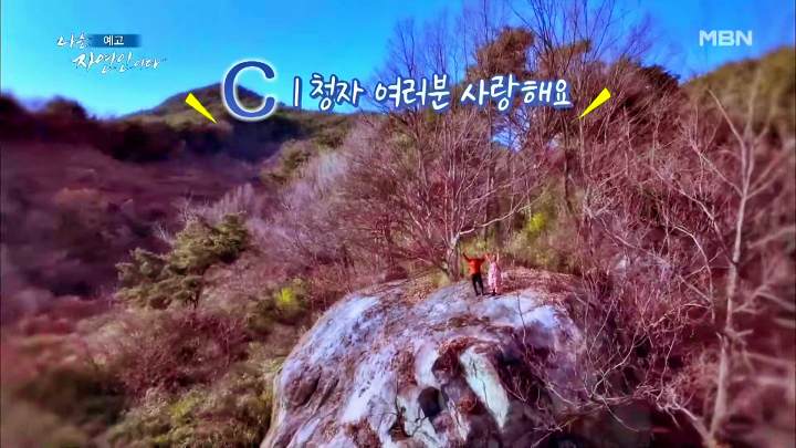 나는 자연인이다 티베트 스타일 옥순봉 고추장 피자 해처럼 바람처럼 자연인 이가영 소개 및 이승윤 출연 542회 다시보기