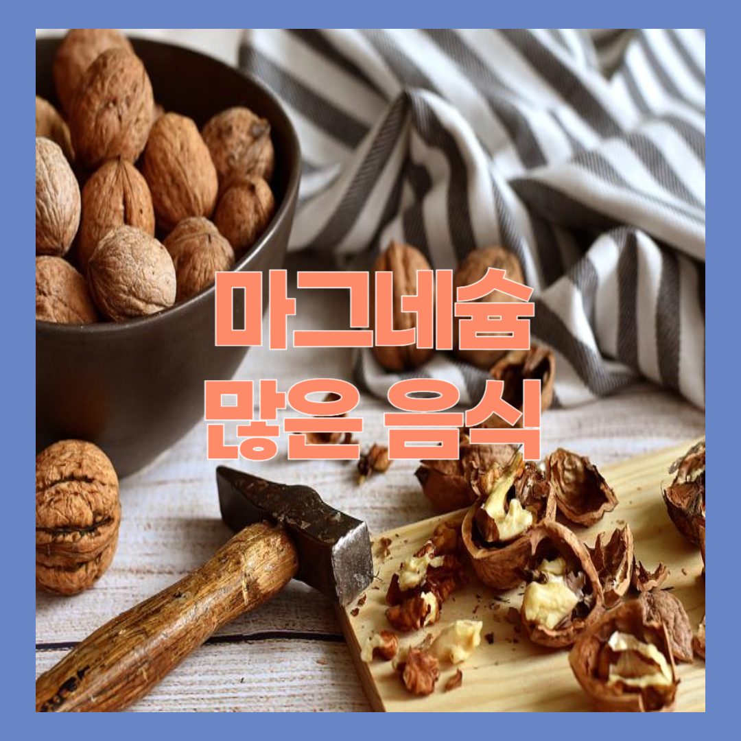 마그네슘 많은 음식으로 영양제 대신하기