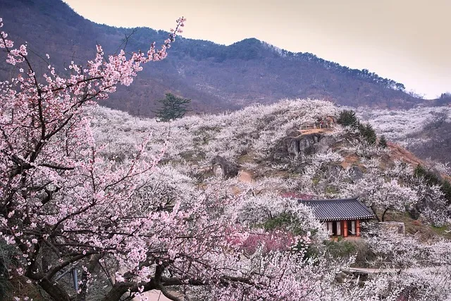 광양 시외버스터미널 시간표 예매 요금_1