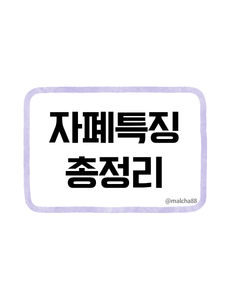자폐특징