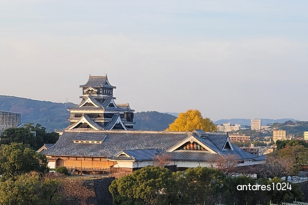 전망대-에서-보이는-구마모토성
