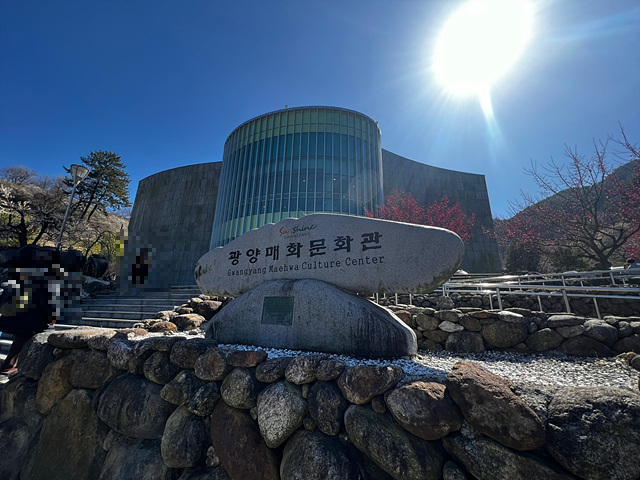 24년 광양 매화 축제 일정 요금 주차