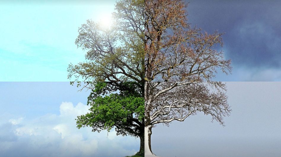 과학적으로 증명된 다이어트 최적의 계절 (겨울, 봄, 가을, 여름)