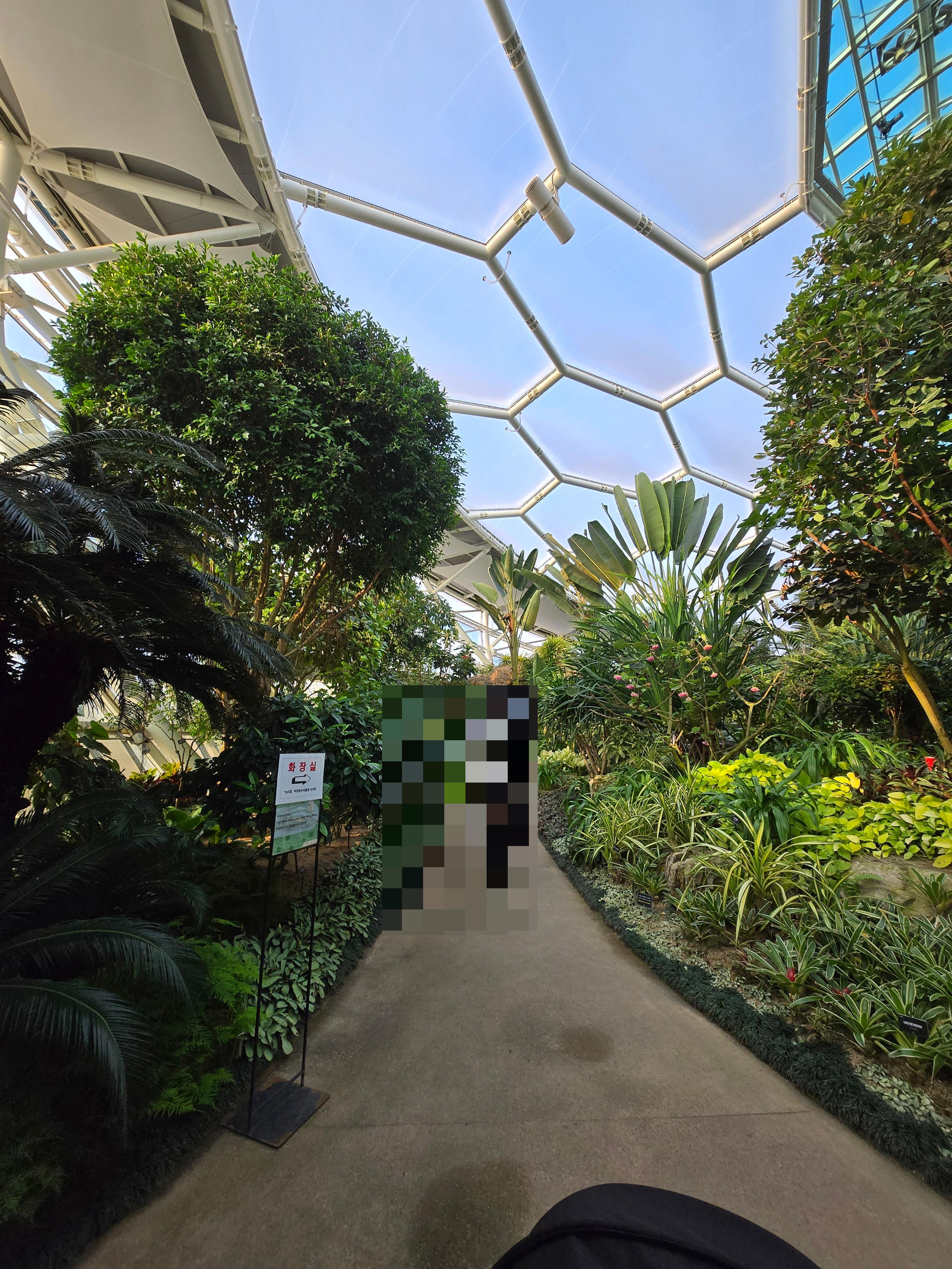 부천수피아식물원카페