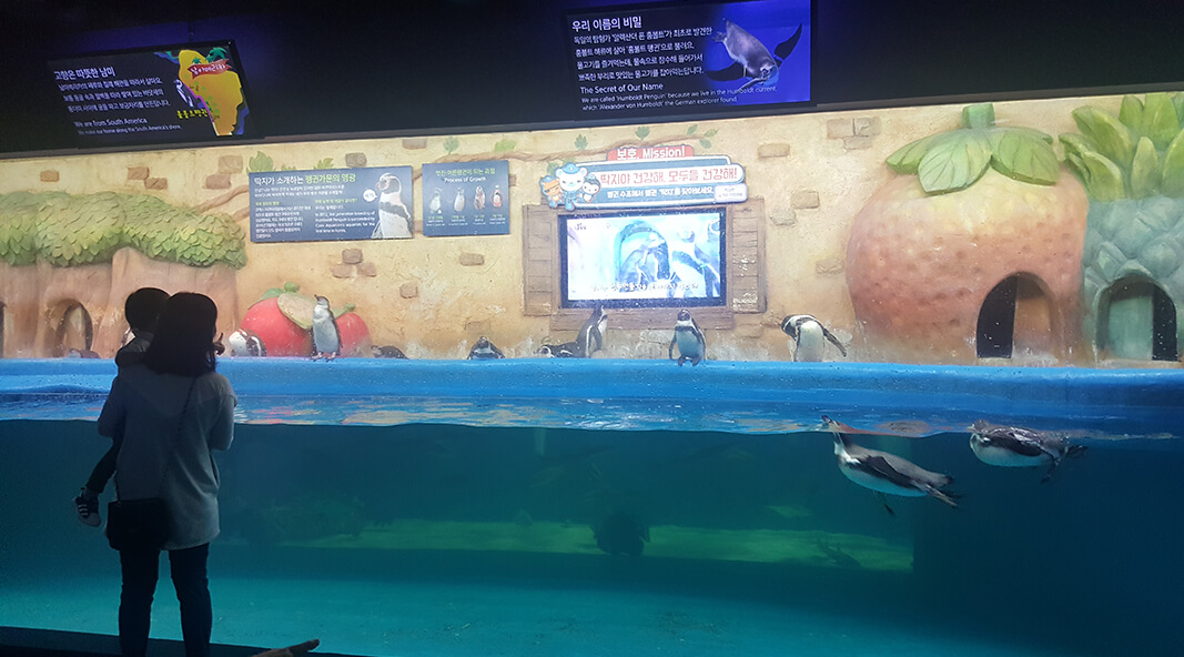 [당일치기] 코엑스 아쿠아리움 놀거리&amp;주차&amp;이벤트&amp;할인혜택