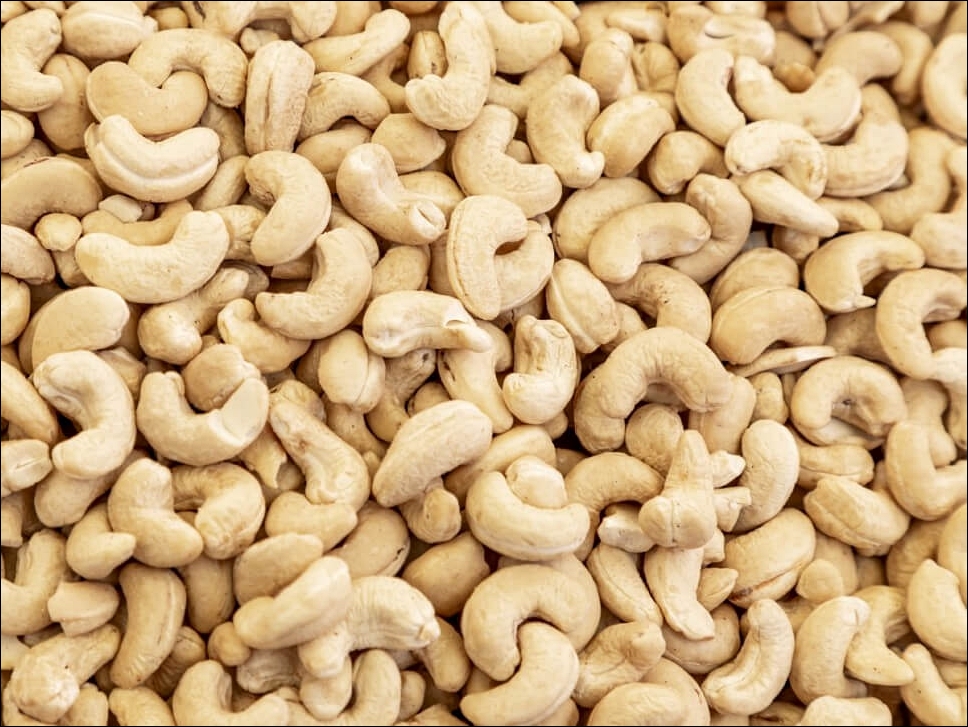 캐슈넛의 효능