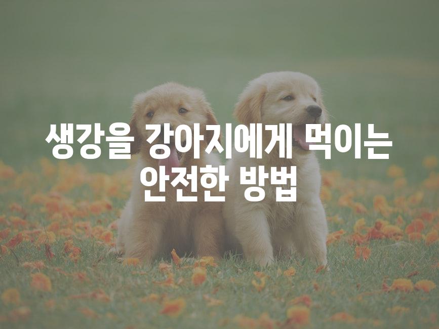 생강을 강아지에게 먹이는 안전한 방법
