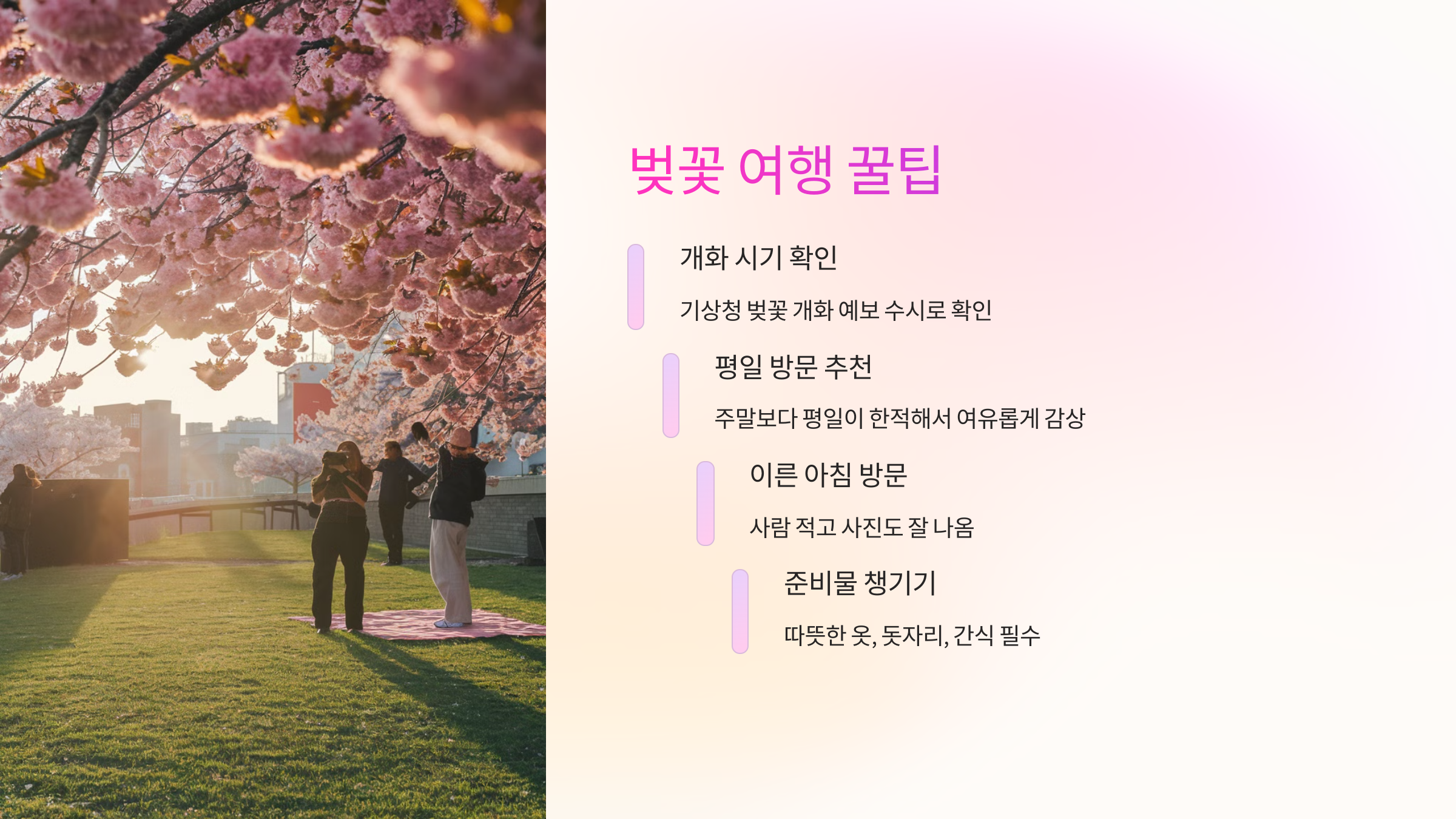 💡 벚꽃 여행 꿀팁