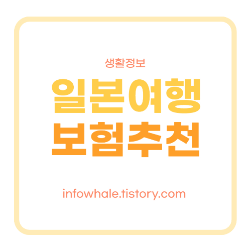 일본 여행자 보험 추천