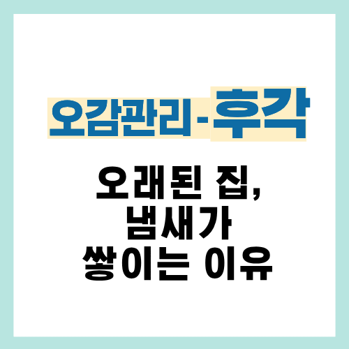 8편. 오래된 집에서 냄새가 쉽게 쌓이는 이유 정리