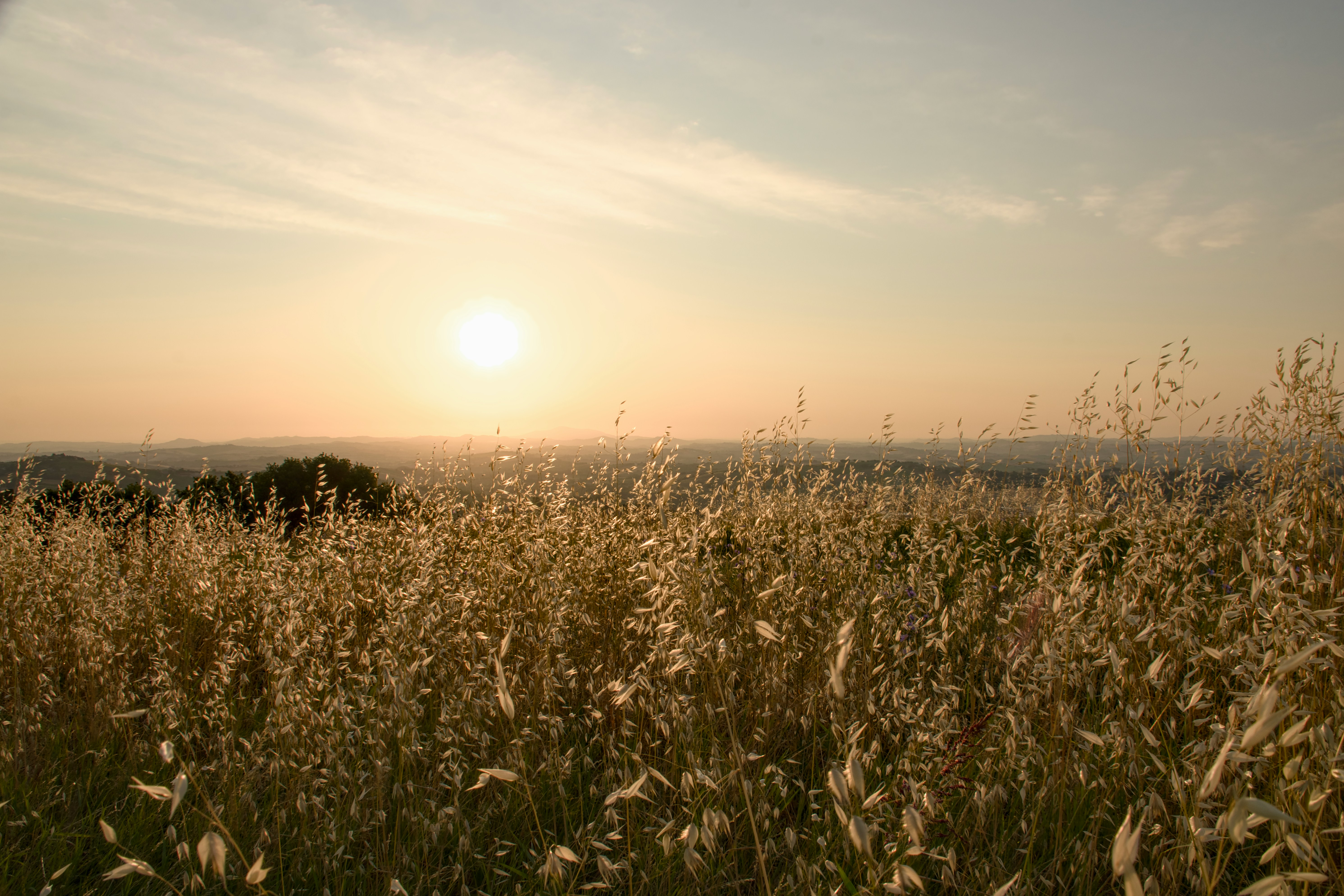 서울 하늘공원 억새밭과 노을 전망 관련 사진