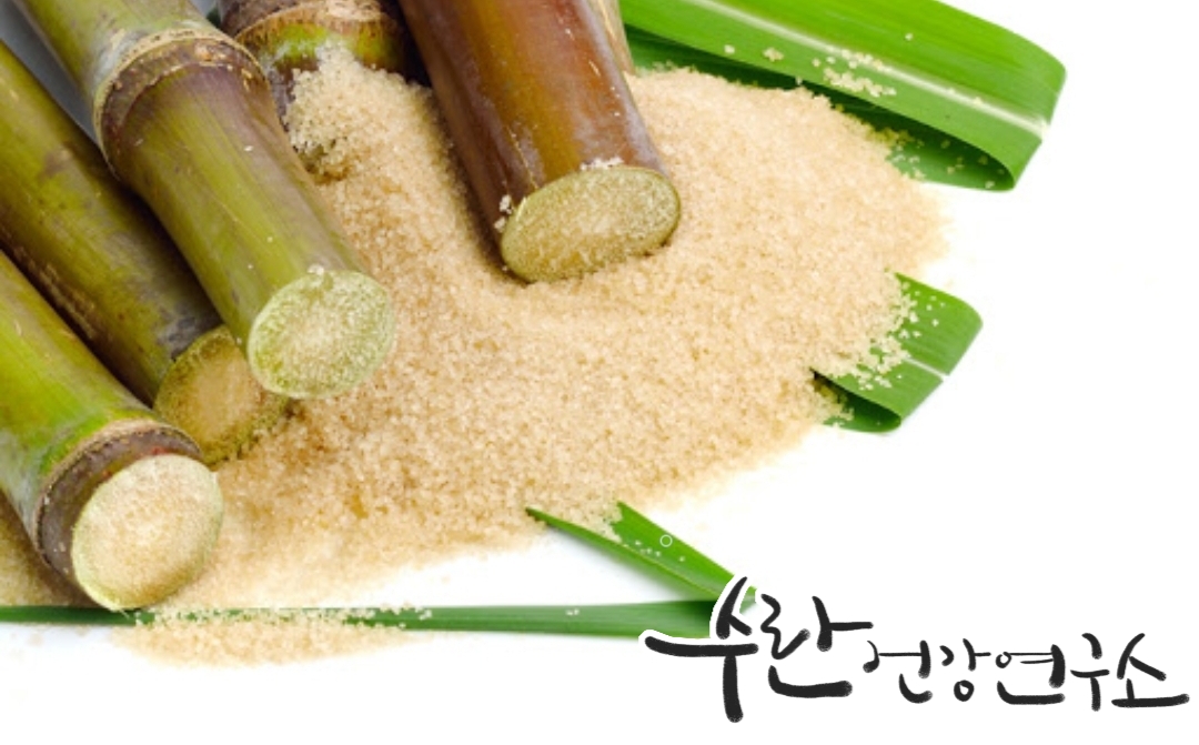 LGG 유산균 효능 부작용