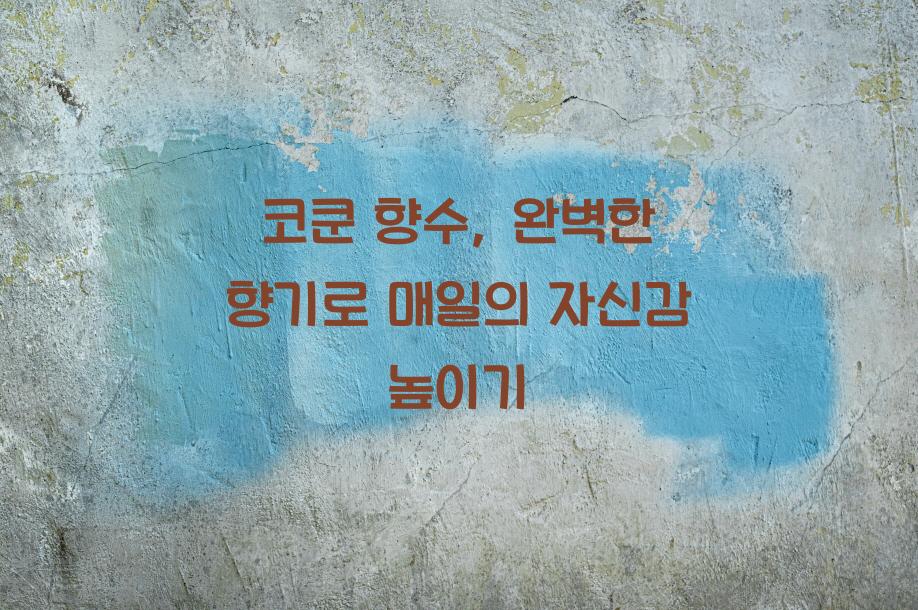 코쿤 향수