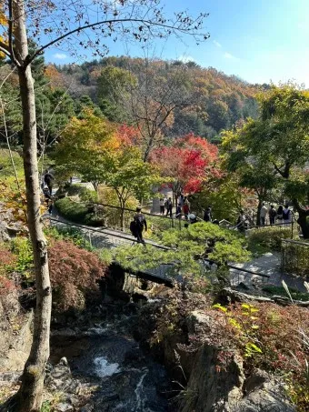 화담숲 예약하기 예약 방법 입장료 모노레일_19