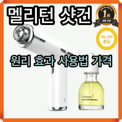멜리턴 샷건