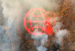 한국자격증협회 지원 인기 자격증 종류