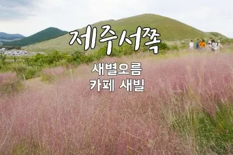 9월 제주 날씨 총정리 기온 비 일교차 옷차림 정보_8