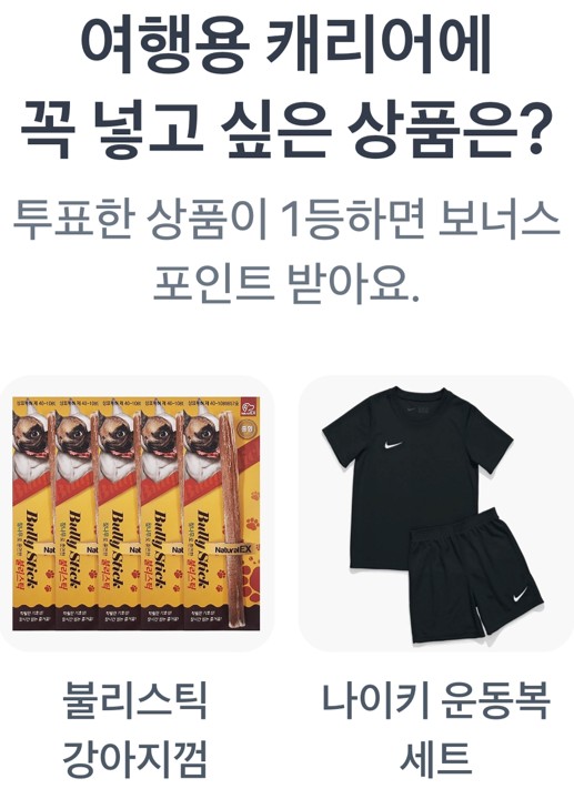 여행용 캐리어에 꼭 넣고 싶은 상품은?불리스틱 강아지껌,나이키 운동복 세트