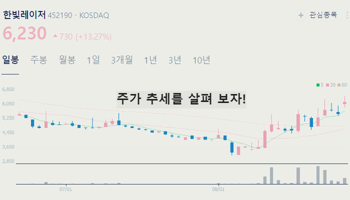 BMS 관련주 대장주 테마주 TOP10
