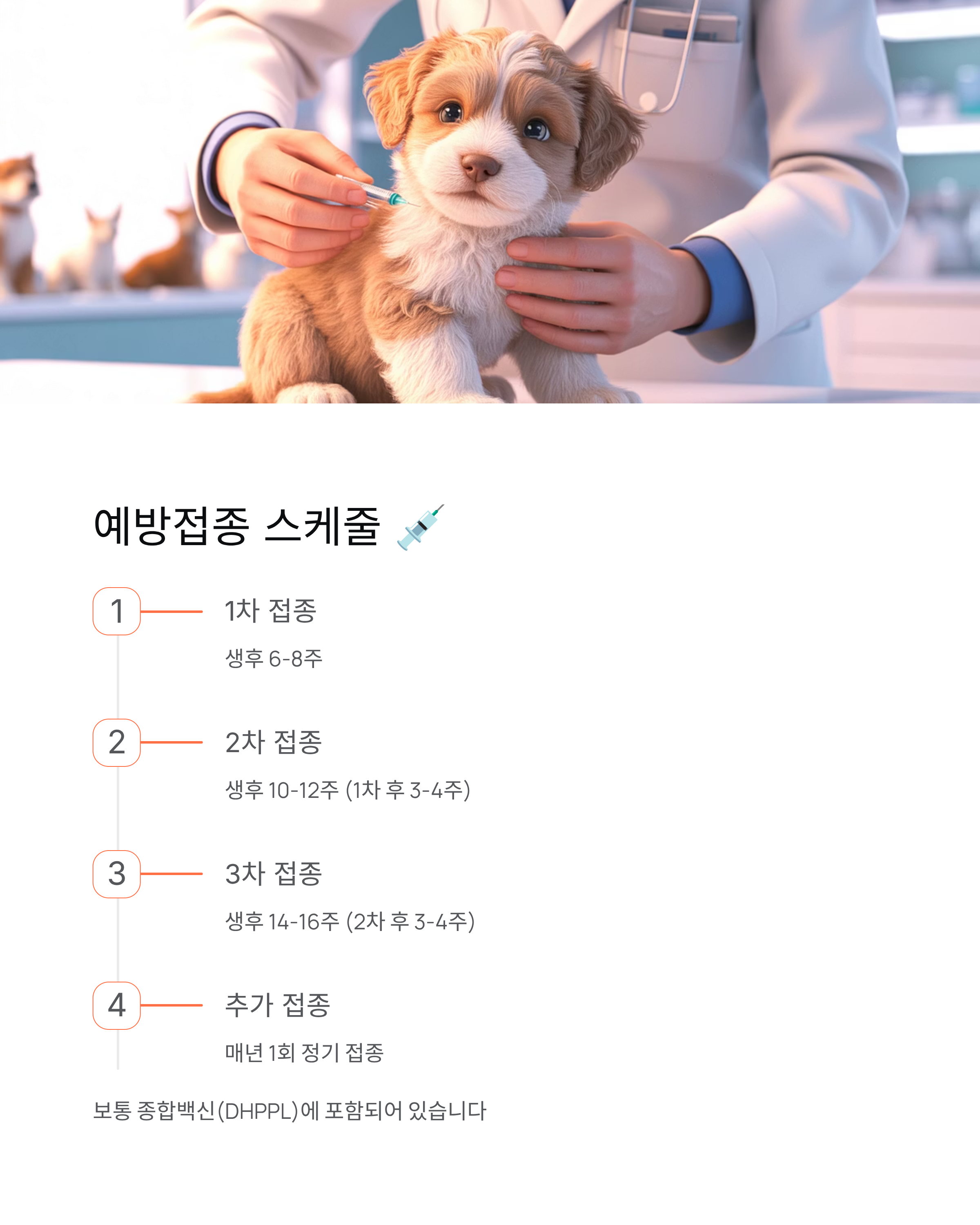 강아지 파보 🚨 증상·치료·예방접종 완벽 가이드!