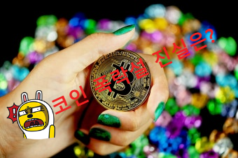 코인 폭락설 진실은?