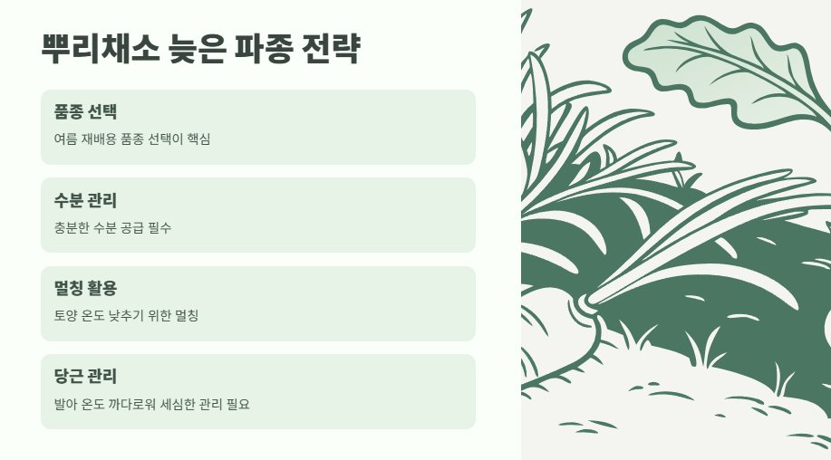 6월에 심는 밭작물 ❘ 늦은 여름까지 수확하는 비법 3