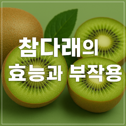 참다래 효능과 부작용