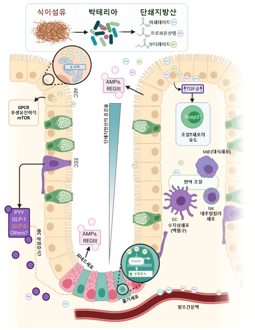 마이크로바이옴
