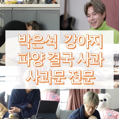 박은석 강아지 파양 사과