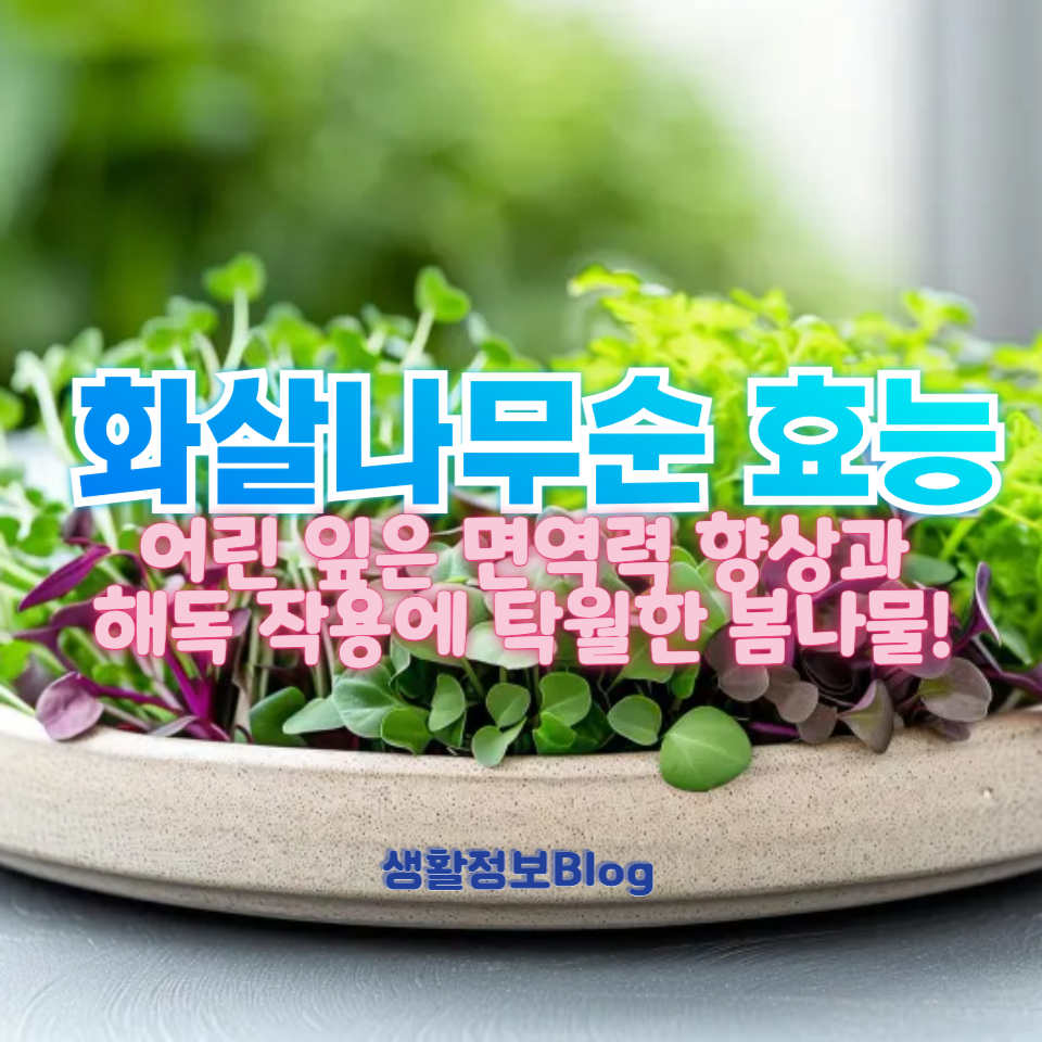 봄에 꼭 챙겨야 할 건강 나물!