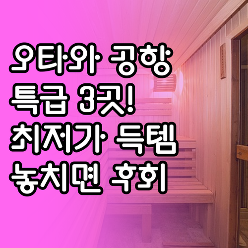 힐튼 메리어트 라마다 오타와 공항 근..