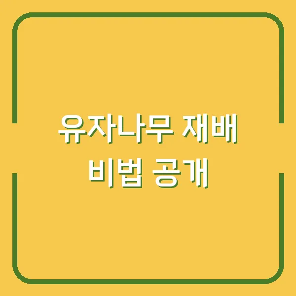 SSD 속도 측정하기 Crystal Disk Mark 사용법