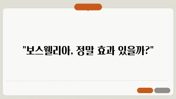 무료 자전 회키을 표현이 될 것