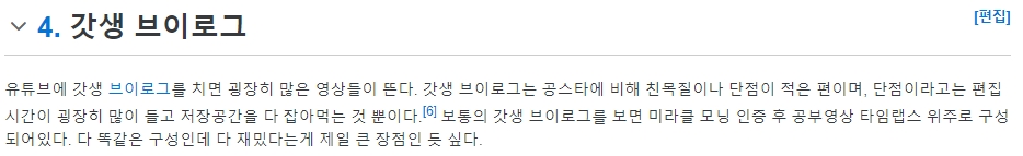 영상 플랫폼의 갓생 브이로그 검색 결과
