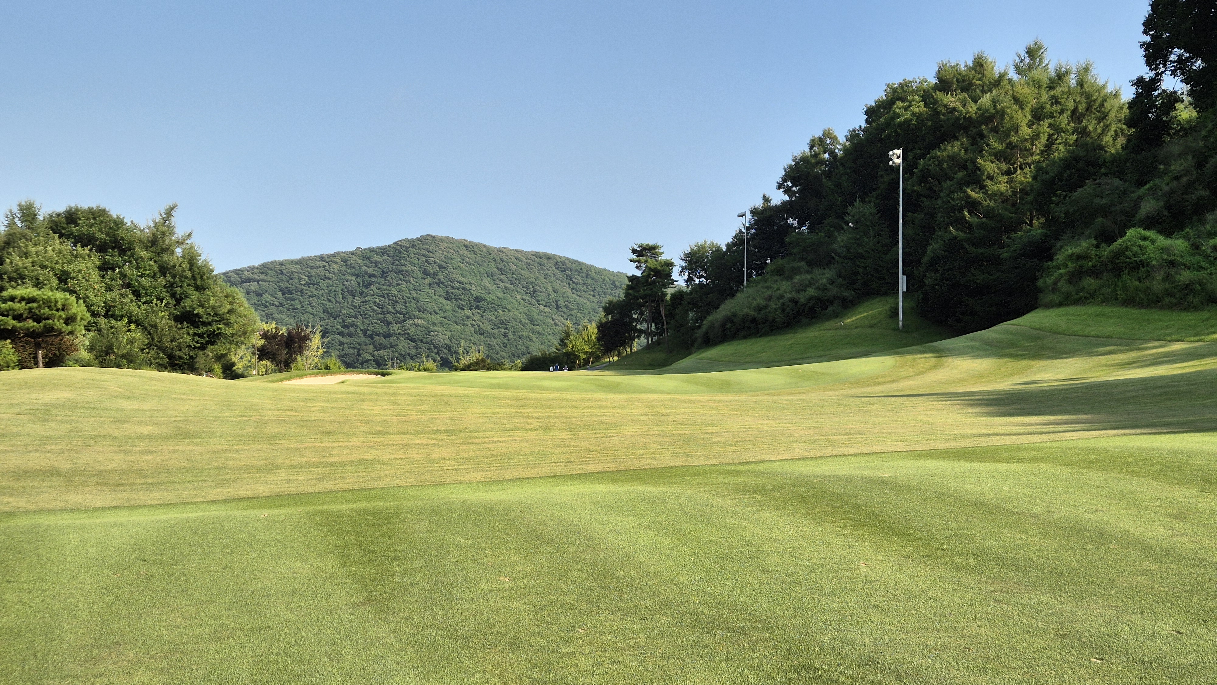 골프존카운티 안성H