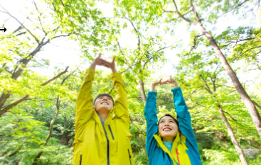 아침 운동 추천
