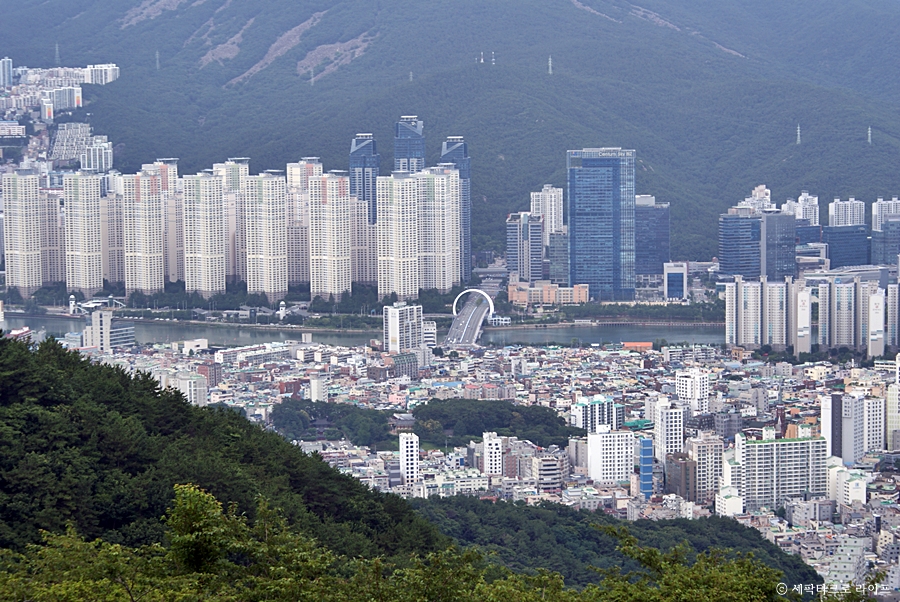 황령산구름고개카페