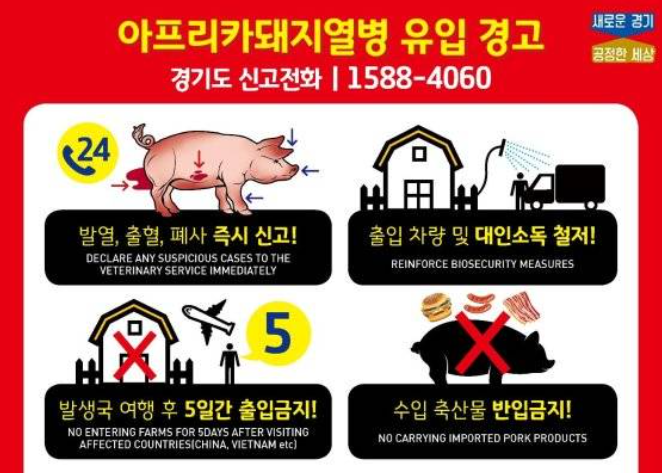 아프리카 돼지 열병 발생, 대응책