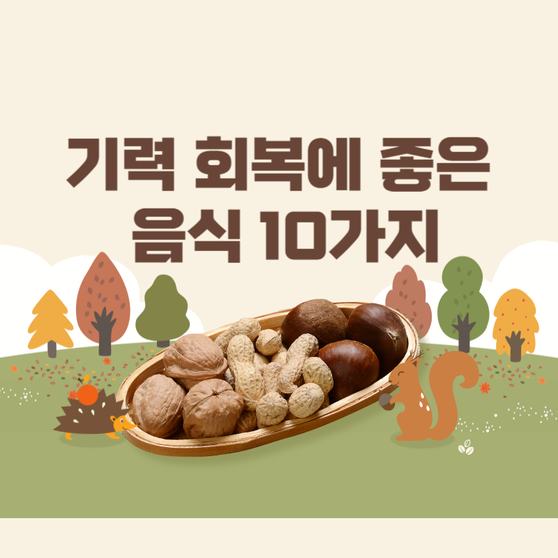 기력 회복에 좋은 음식 10가지