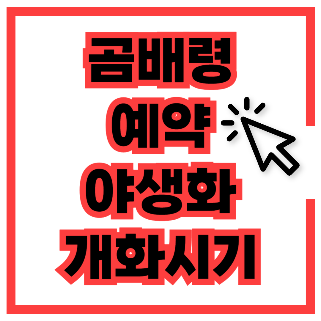 곰배령 예약하기