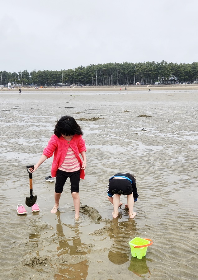 많이 해봐써 해루질은 안하지만 땅은 열심히 파는 쿠앙이 쿠웅이