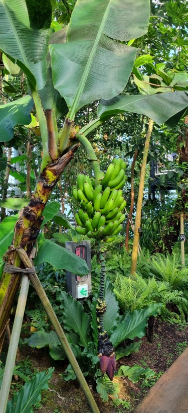 세종 국립 수목원