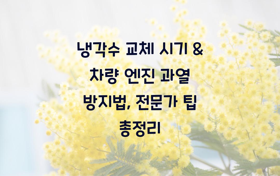 냉각수 교체 시기 & 차량 엔진 과열 방지법