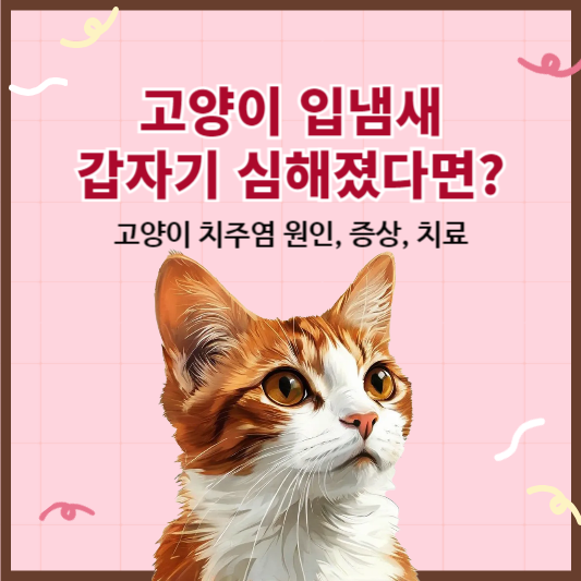고양이 치주염